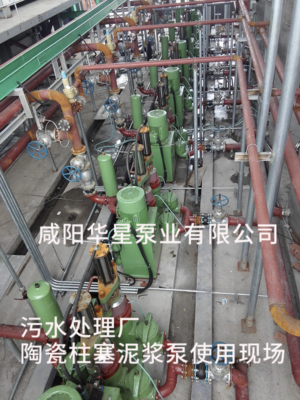 污水處理廠(chǎng)使用壓濾機(jī)專(zhuān)用泵